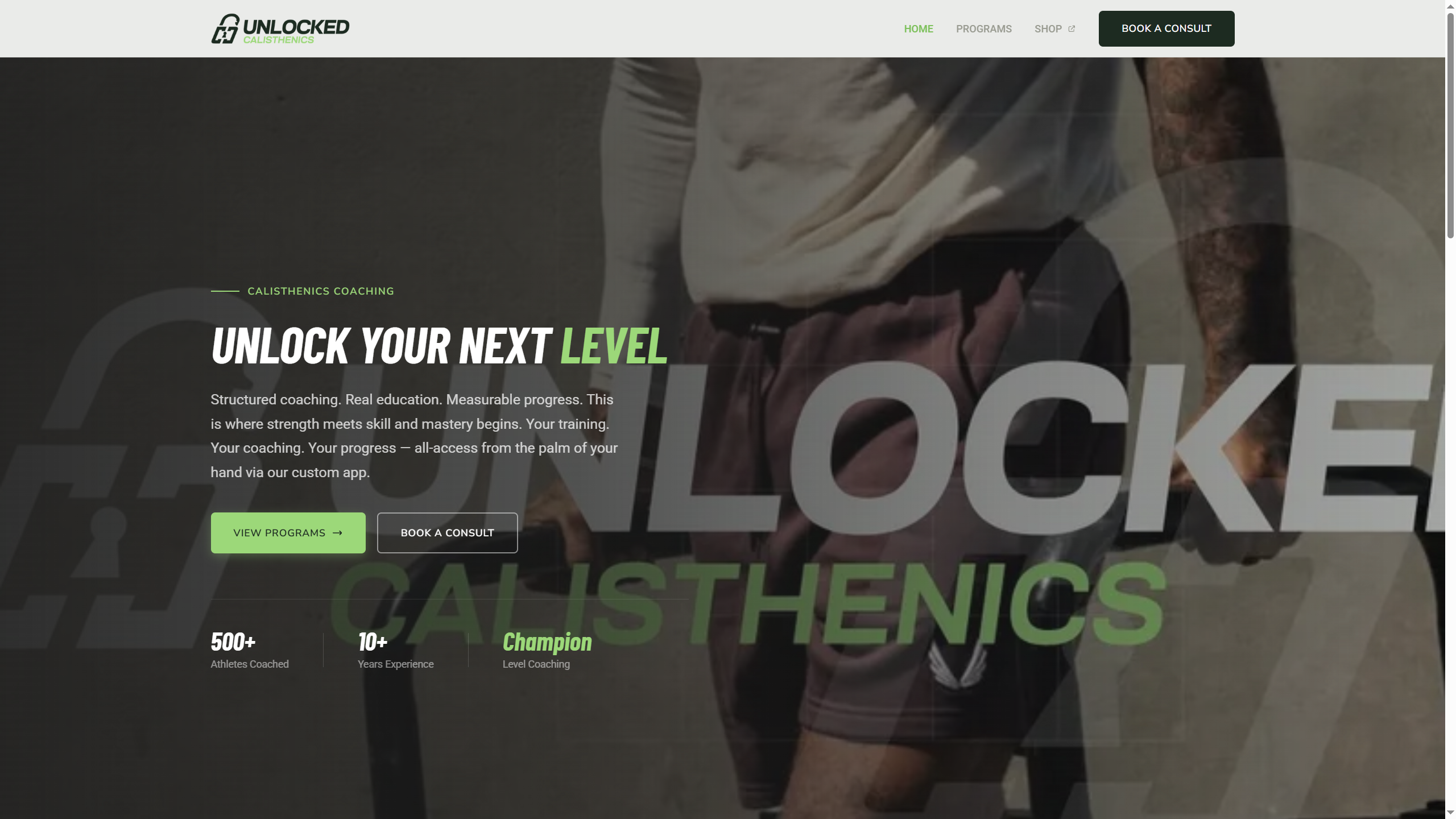 Website desktop view